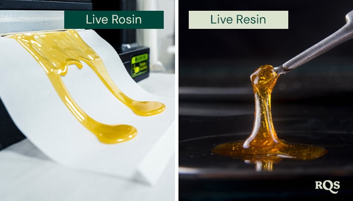 Confronto tra live rosin e live resin, con due immagini affiancate. A sinistra, il rosin live dorato è steso su carta. A destra, la resina live viene sollevata con uno strumento, mettendo in mostra la sua consistenza lucida.