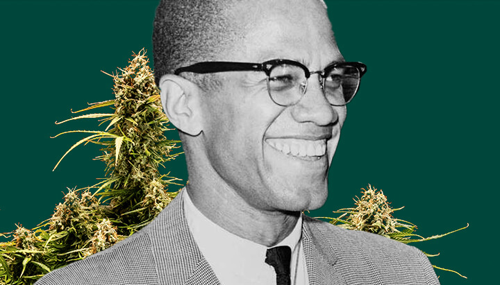 Un ritratto dettagliato di Malcolm X con uno sfondo verde profondo, incorniciato da piante di cannabis lussureggianti con gemme spesse e resinose.