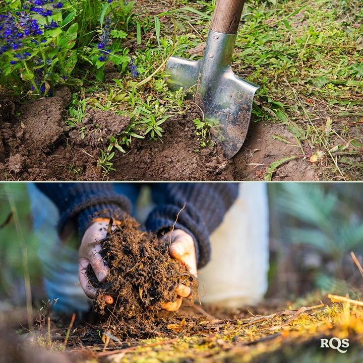 Confronto tra metodi di giardinaggio: Immagine a sinistra di giardinaggio intensivo in un setup strutturato, immagine a destra di giardinaggio estensivo su campo aperto.