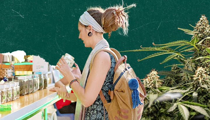 Collage di una donna con dreadlocks che tiene un barattolo in un dispensario di cannabis. Sfondo verde scuro con piante di marijuana visibili a destra.