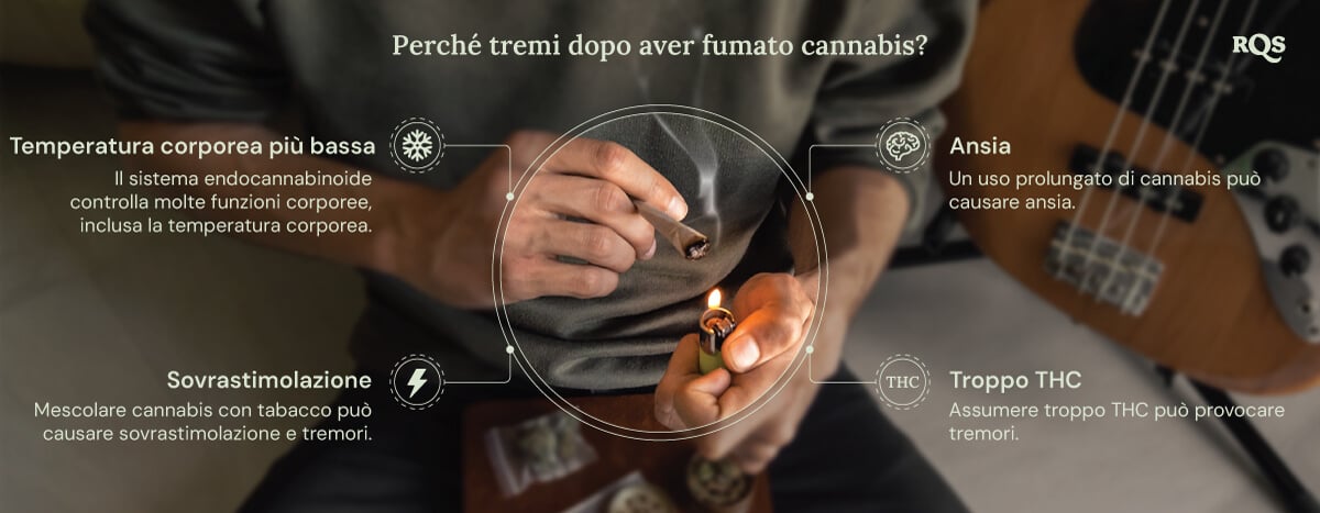 Un grafico dettagliato che mostra i potenziali effetti collaterali dell'uso di cannabis. Immagini informative spiegano come fattori come i livelli di THC, l'ansia e la temperatura corporea contribuiscano a queste reazioni fisiche.