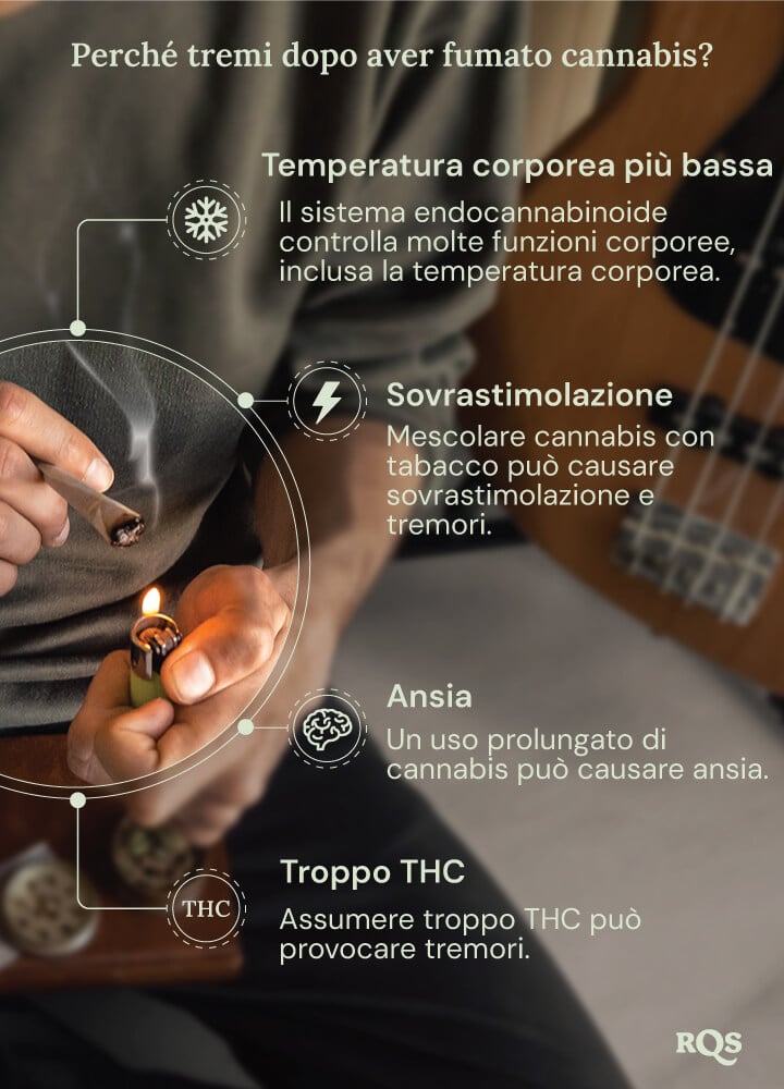 Un grafico dettagliato che mostra i potenziali effetti collaterali dell'uso di cannabis. Immagini informative spiegano come fattori come i livelli di THC, l'ansia e la temperatura corporea contribuiscano a queste reazioni fisiche.