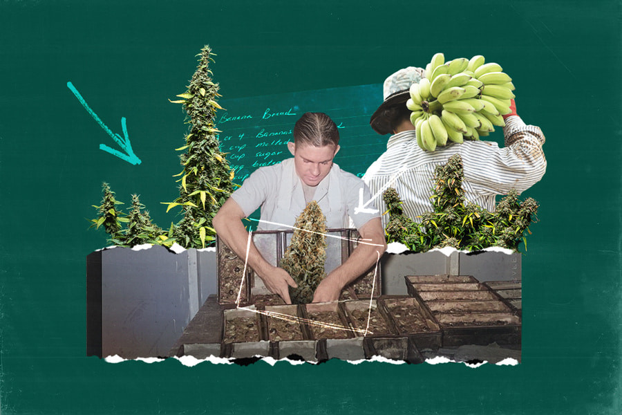 Come preparare il banana bread alla cannabis