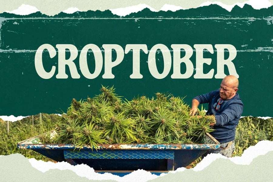 Croptober: Si avvicina il periodo del raccolto