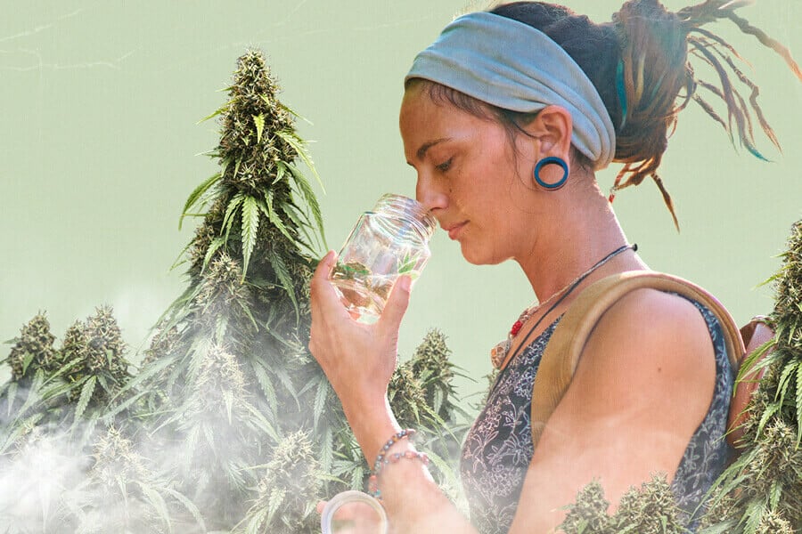 Assuefazione olfattiva da cannabis: Cause e soluzioni