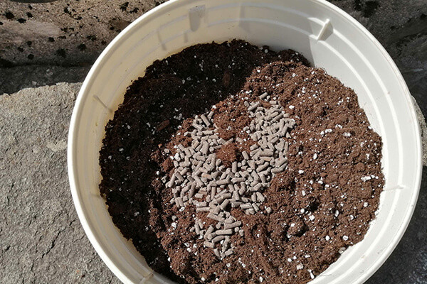 Easy Boost Nutrizione Biologica  Easy Boost Nutrizione Biologica