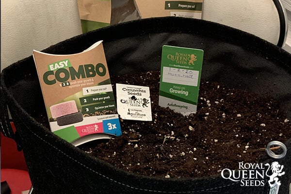 Easy Combo Booster Pack Easy Combo Booster Pack